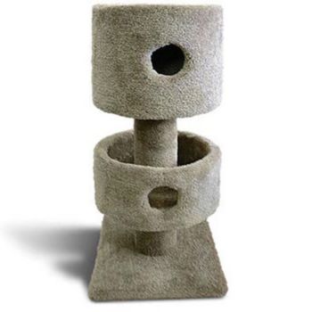 ��� ��� ������