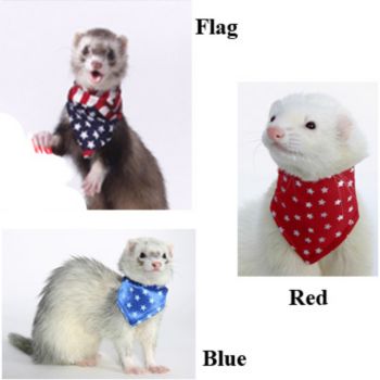 ������� ��� �������