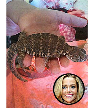 ����� ������� ����� � ����� ������