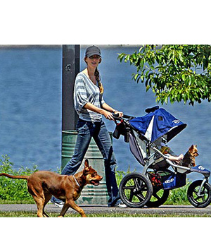 ������ � �� �������. �������� ��� ����� ���������