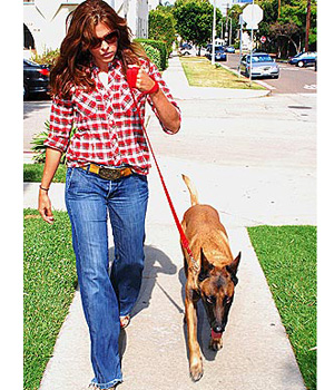 ������ � �� �������. �������� ��� ����� ���������