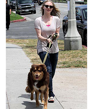 ������ � �� �������. �������� ��� ����� ���������