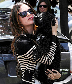 �������� ������ � �������