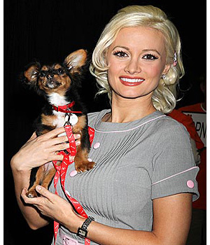 �������� ������ � �������