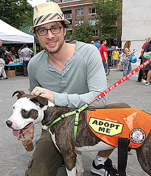 �������� ������ � �������