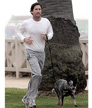 ������ � �� �������. ��������  �������