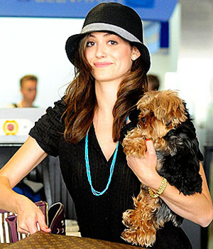 ������ � �� �������. ��������  �������