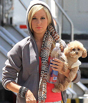 ������ � �� �������. ��������  �������