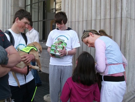 Дублин: и звери пристроены, и детям весело Дублин: и звери пристроены, и детям весело