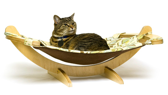 ����� ��� ������� ������