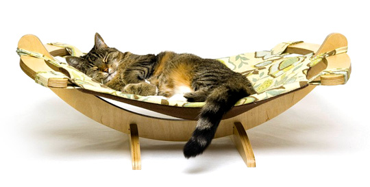 ����� ��� ������� ������