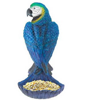 ��������� �������� ��� ����