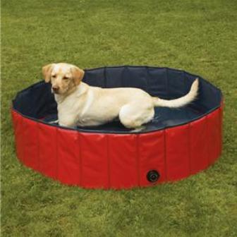 ������� ��� ������