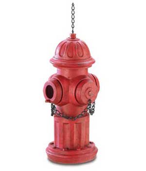 ������������ ��� ��� �������� ������