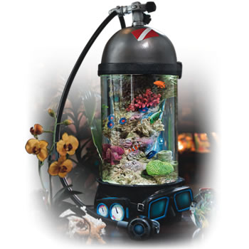 �������� ��� ��������