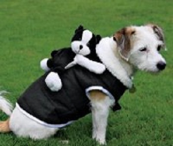 Жилет с игрушкой для собак Жилет с игрушкой для собак