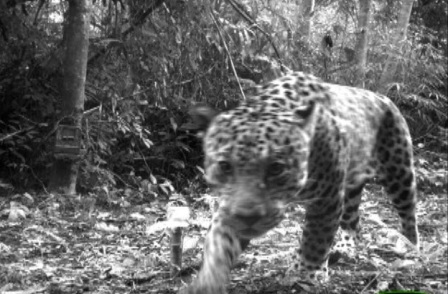 ������, ������� ������ �������� � ���