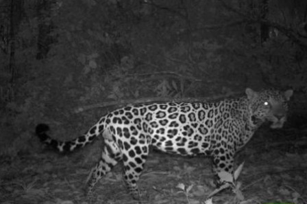 ������, ������� ������ �������� � ���