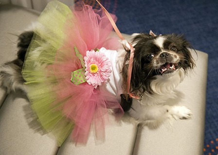 ������� ��� � ����� ��������