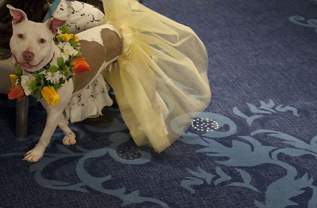 ������� ��� � ����� ��������