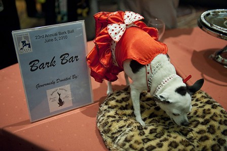 ������� ��� � ����� ��������