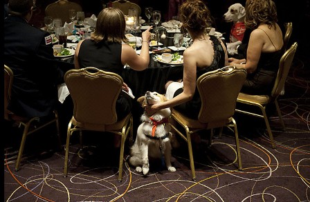 ������� ��� � ����� ��������