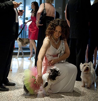 ������� ��� � ����� ��������