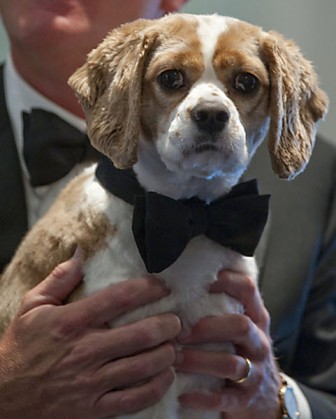 ������� ��� � ����� ��������