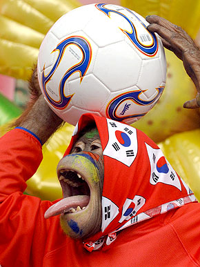 ���������� ����������� �����������