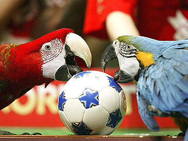 ���������� ����������� �����������