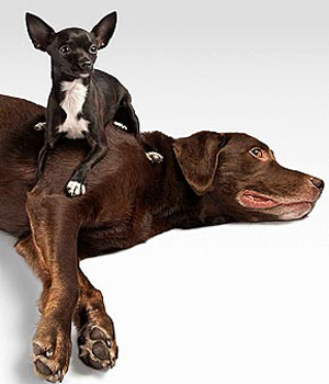 ��������� ������