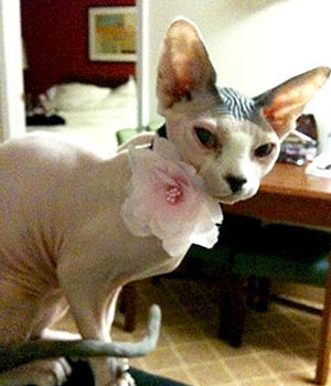 ��������� ������