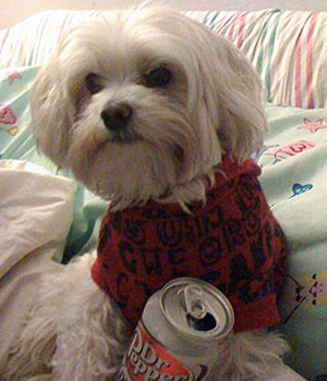 ��������� ������