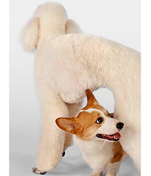 ��������� ������