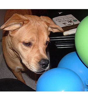 ��������� ������