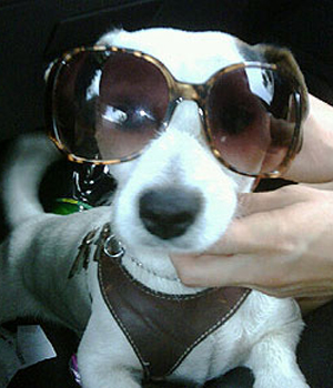 ��������� ������