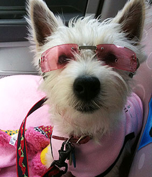 ��������� ������