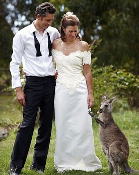 ��������� ���������