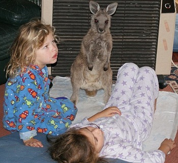 ��������� ���������