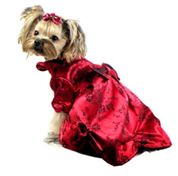 ������ ������������� �����