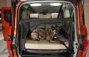 ������ � ������