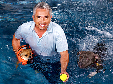 Лучшие звездные «папочки» Лучшие звездные «папочки»