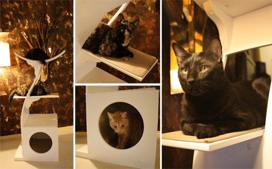 �������� ��� ��� �����