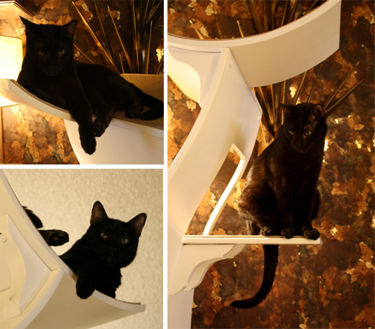 �������� ��� ��� �����