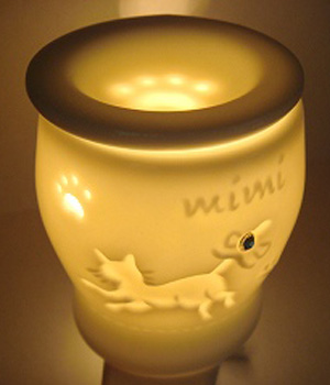 ���������� ��� ��������� �����