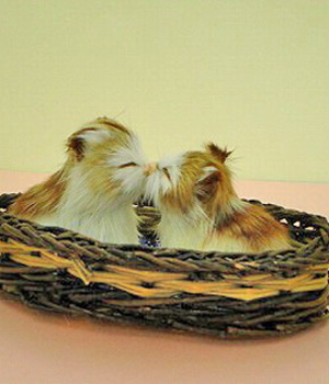 ���������� ��� ��������� �����