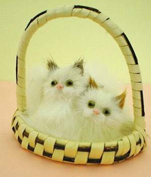 ���������� ��� ��������� �����