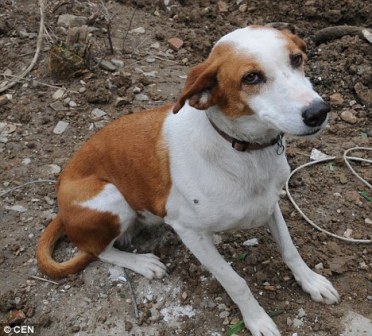 ������ ��������� 20 ���� �� �������