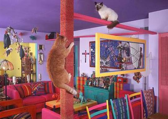 ��������� ��� ��� �����