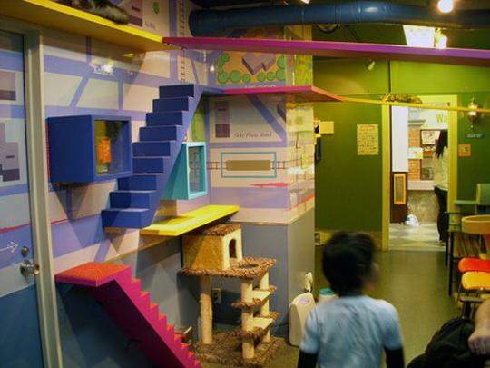 ��������� ��� ��� �����